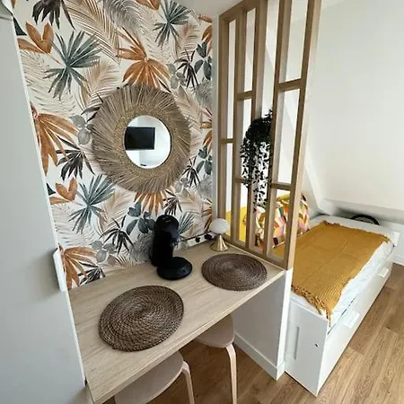 Studette Entierement Renovee Et Lumineuse Apartman