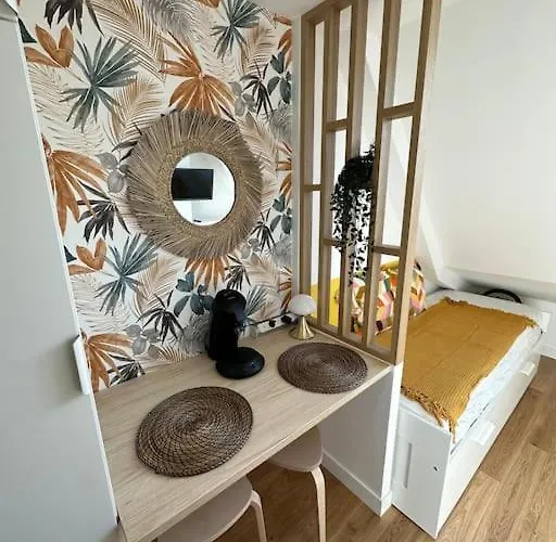 Studette Entierement Renovee Et Lumineuse アパート